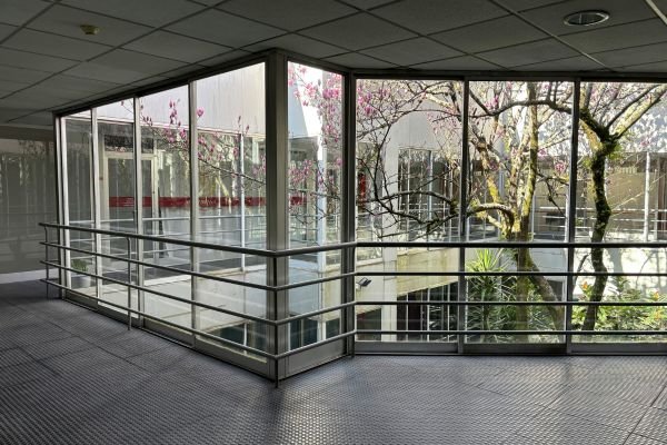 Commercial Window Tinting - Film Application, Trimming and Final Check in Brisbane Northside